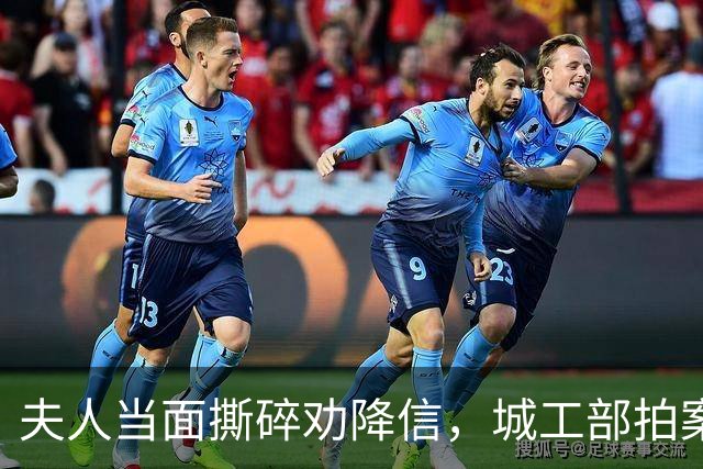 夫人当面撕碎劝降信，城工部拍案叫绝：这一撕，救了十万人