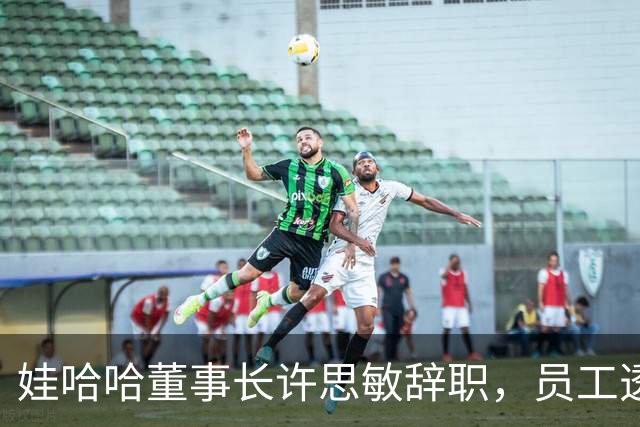 娃哈哈董事长许思敏辞职，员工透露内幕，宗馥莉派系和接班细节流出