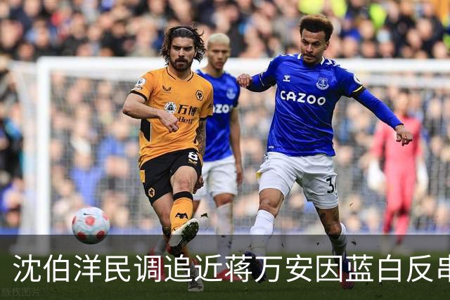 沈伯洋民调追近蒋万安因蓝白反串？台作家：绿营将再现“大罢免”惨败