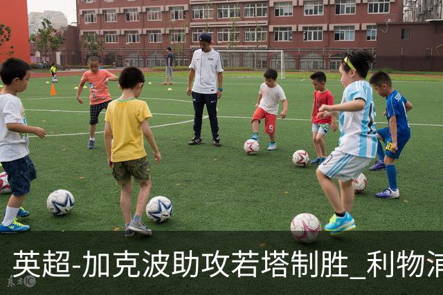 英超-加克波助攻若塔制胜 利物浦1-0水晶宫