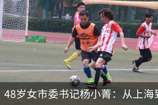 48岁女市委书记杨小菁：从上海到许昌一把手，她如何一步步跨市任职的